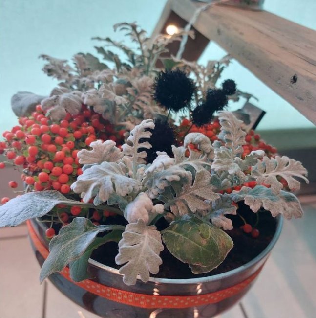 Plante dans un pot décoré